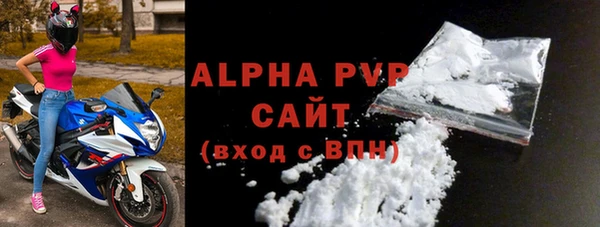 стафф Корсаков