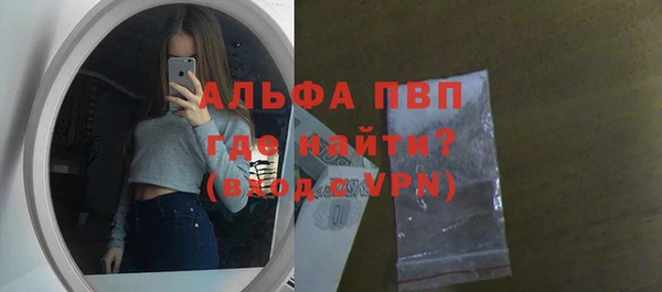 стафф Корсаков