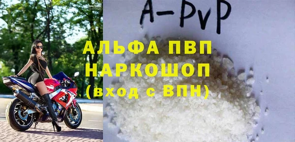 стафф Корсаков