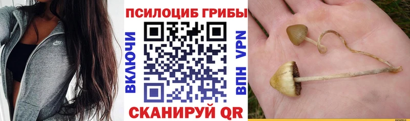 Галлюциногенные грибы Psilocybe  shop официальный сайт  Белоозёрский 